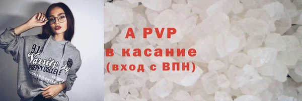 ПСИЛОЦИБИНОВЫЕ ГРИБЫ Вязники