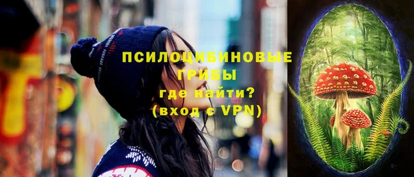 a pvp Горнозаводск