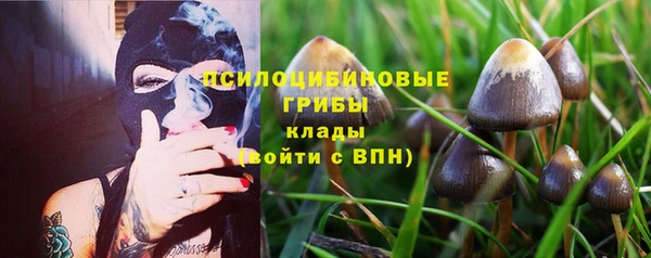 ПСИЛОЦИБИНОВЫЕ ГРИБЫ Вязники