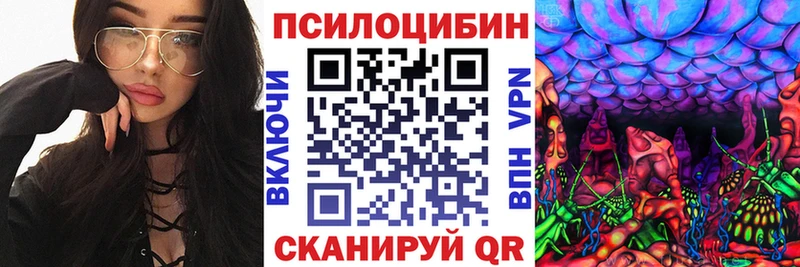 shop состав  Железноводск  Псилоцибиновые грибы Cubensis  продажа наркотиков 