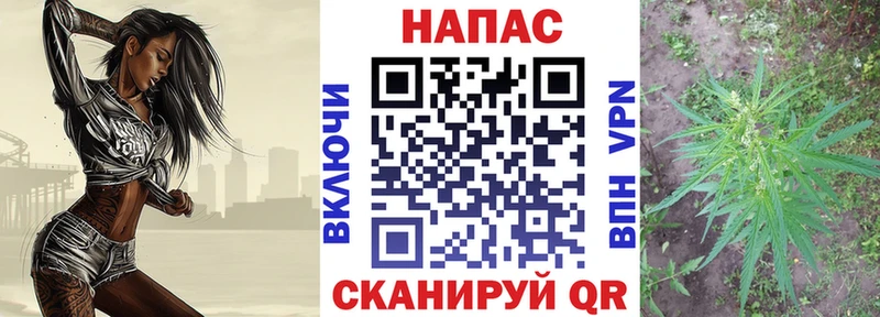 где продают наркотики Железноводск Канабис индика